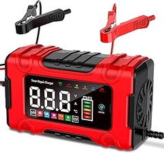 Los mejores cargadores de batería 12V para coches familiares
