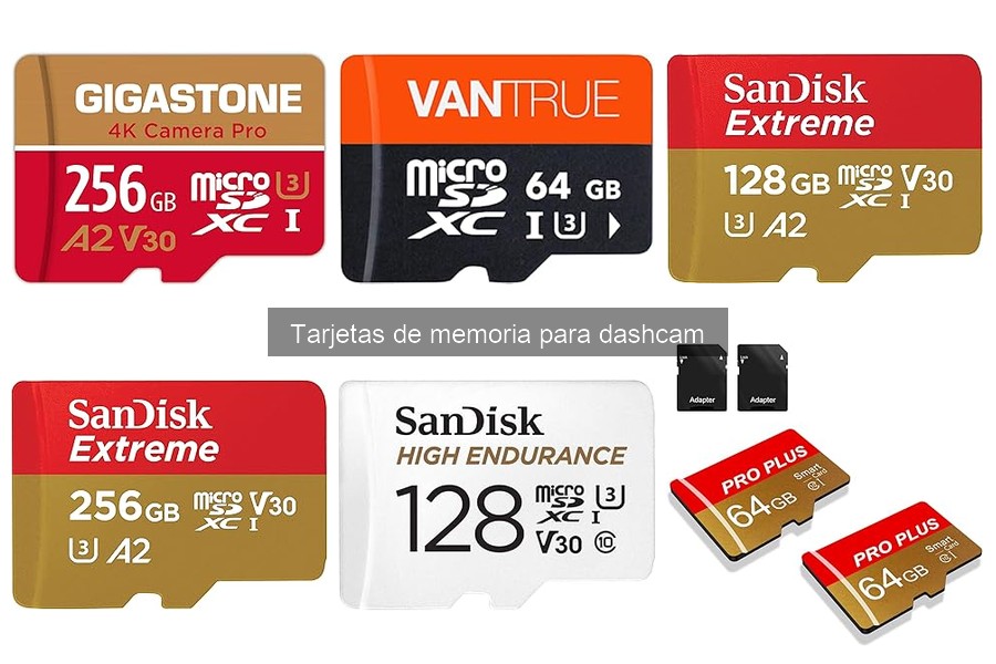Consejos para Tarjetas de Memoria de Dashcam en Climas Extremos