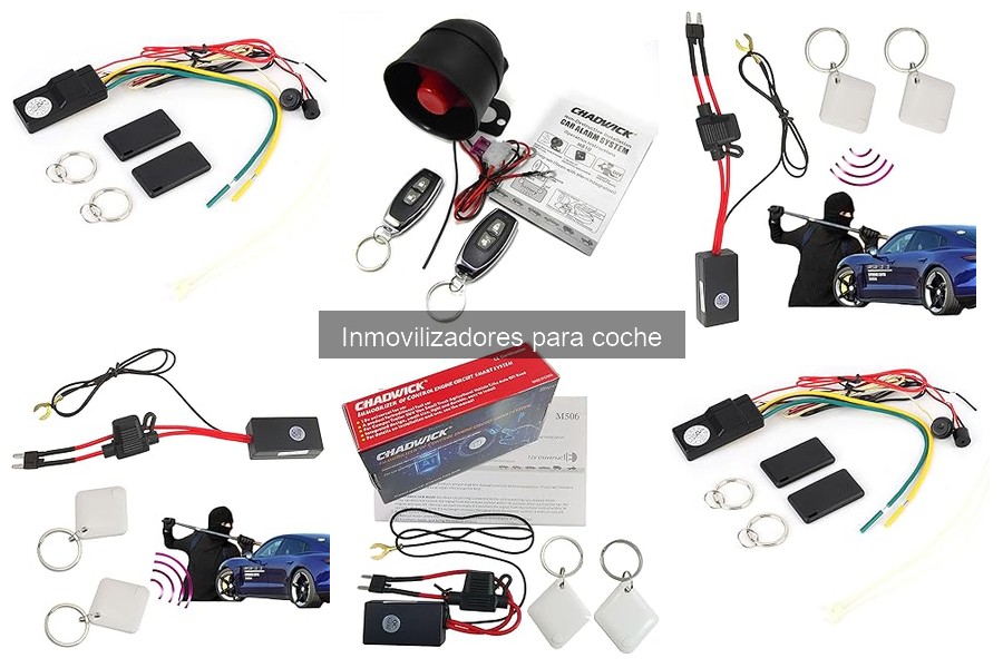Inmovilizadores para coche: ¿Son efectivos contra el robo?